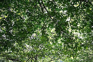 《马力欧&路易吉RPG兄弟齐航》新预告分享